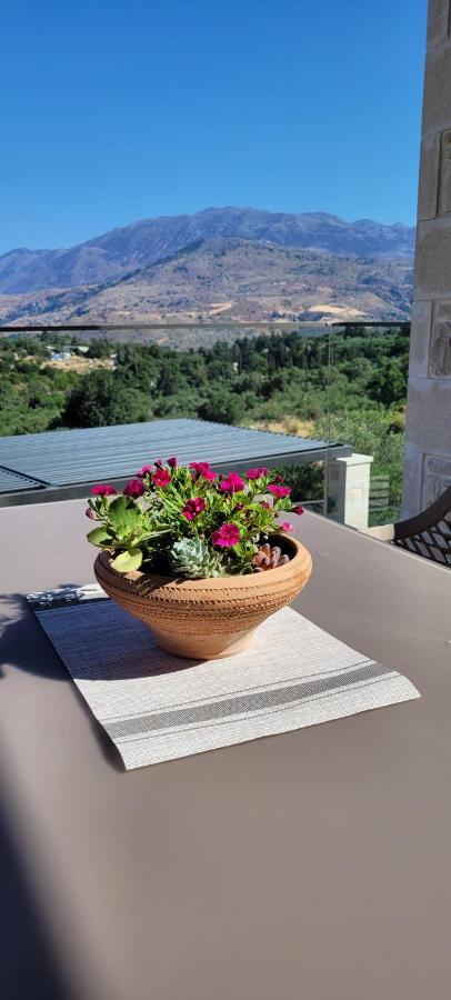 Splendid Villas And Family Resort Kalamítsion Amigdhálion エクステリア 写真